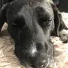 Annika_Lynn - @annikalynn18 - TikTok