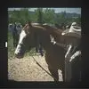 annmariemcnultytr - @annmariemcnultytr - TikTok