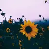 {Anon¥mous} ♡◇ - @lõvê_edîtś - TikTok