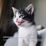 Anoop Alexander - @an_oop3136 - Instagram