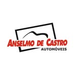 Anselmo de Castro Automóveis - @anselmodecastroauto - Instagram