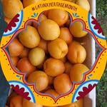 Anselmo Gutierrez - @anselmogutierrez6 - Instagram