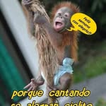 Anselmo Gutierrez Gonzalez - @guerito76 - Instagram