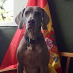 Anselmo Gutierrez Marinero - @gutierrezmarinero - Instagram