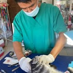 David Anselmo Gutiérrez - @davidanselmogutierrez - Instagram