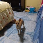Anselmo Alcalá Millan - Facebook