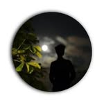 Anshuman gautam - @anshuman_gautam12 - Instagram