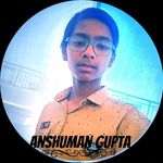 Anshuman Gupta - @anshu.man6989 - Instagram