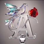 Anshuman Jagtqp - @anshuman__jagtap_9898 - Instagram