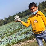 Anshuman Joshi - Facebook