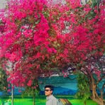 Anshuman Kanhar - Facebook