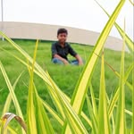 Anshuman Nayak - @__alone__boys__anshu__780 - Instagram