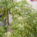 Anshuman Rastogi - Facebook