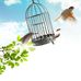 Anshuman sahoo - Facebook