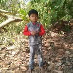 anshuman sahu - @anshuman__sahu._ - Instagram