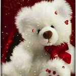 Anshuman Shah - @anshuman8150 - Instagram