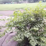 anshuman solanki - @solankianshuman - Instagram