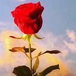 Anshuman solanki - @royal_anshu_1745 - Instagram