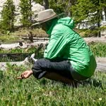 Anshuman Swain - @anshuman.swain - Instagram