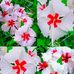 Anjuman Tanha - Facebook