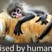 Ansleigh Zoo Ray - Facebook