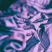 Kota Ansley Esther Abernathy - Facebook