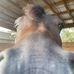 Ansley Adams - Facebook