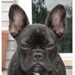Ansley Bennett - @ansley45 - Instagram