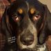 Ansley Bruce - Facebook