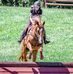 Ansley Campbell - Facebook