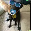 ansley chanon - @ansley.chanon - TikTok
