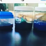 Ansley And Carter Slime - @ansley.carter_slime - Instagram