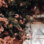Ansley Cohen - @cute56842 - Instagram