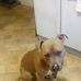 Ansley Cohen - Facebook