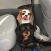 ansley_davis - @acedavis962 - TikTok