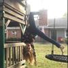 Ansley Hamilton - @pili_1090 - TikTok