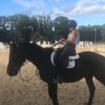 Ansley Jones - @ansley.equestrian - Instagram