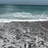 Carrie Babez - @lee.ansley1 - TikTok