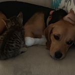 Ansley Miller - @ansley_711 - Instagram