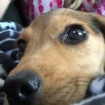 Ansley Miller - @ansley_kate71 - Instagram