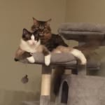 Ansley Newton - @conner_akira - Instagram