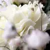 Ainsley.nix - @2168753898 - TikTok