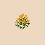 Ansley Scott - @lettersbyans - Instagram