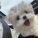 Ansley Terry - @ansley2445 - Instagram