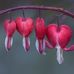 Ansley Terry - Facebook