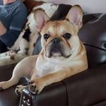 Terry Ansley Jr. - @terryansleyjr - Instagram