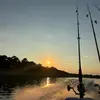 Ansley Williams - @ansley.williams - TikTok