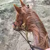Ansley Williams - @ansleywill - TikTok