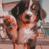 Ainsley.Wilson - @ainsley.wilson - TikTok