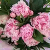 Anson Au - @2176003705 - TikTok
